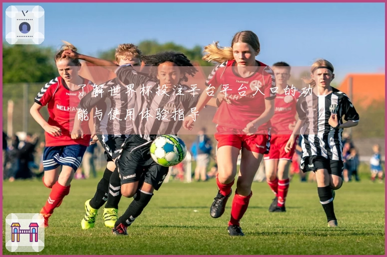 了解世界杯投注平台平台入口的功能与使用体验指导