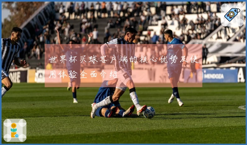 世界杯买球客户端的核心优势及使用体验全面介绍