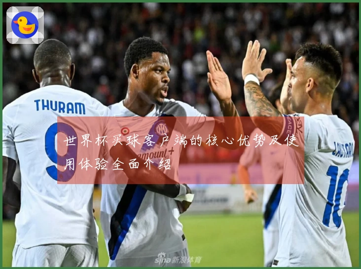 世界杯买球客户端的核心优势及使用体验全面介绍