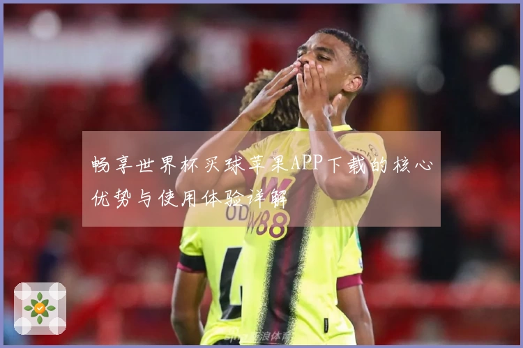 畅享世界杯买球苹果APP下载的核心优势与使用体验详解