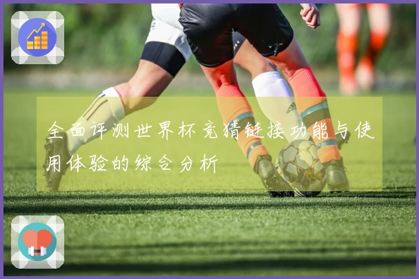 全面评测世界杯竞猜链接功能与使用体验的综合分析