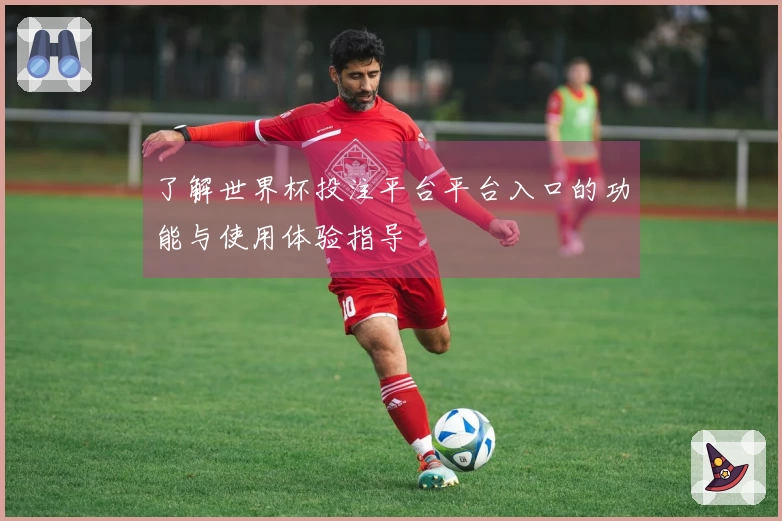 了解世界杯投注平台平台入口的功能与使用体验指导