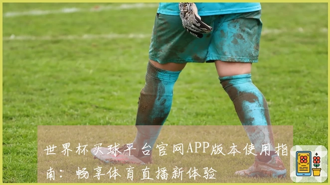 世界杯买球平台官网APP版本使用指南:畅享体育直播新体验