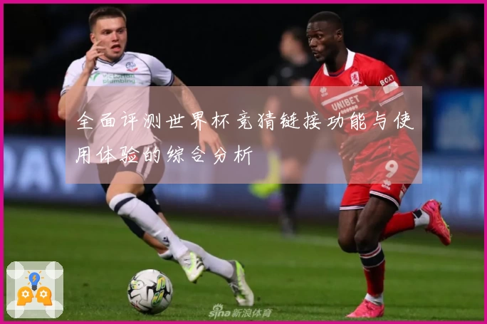 全面评测世界杯竞猜链接功能与使用体验的综合分析