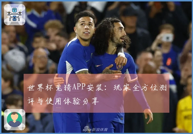 世界杯竞猜APP安装：玩家全方位测评与使用体验分享